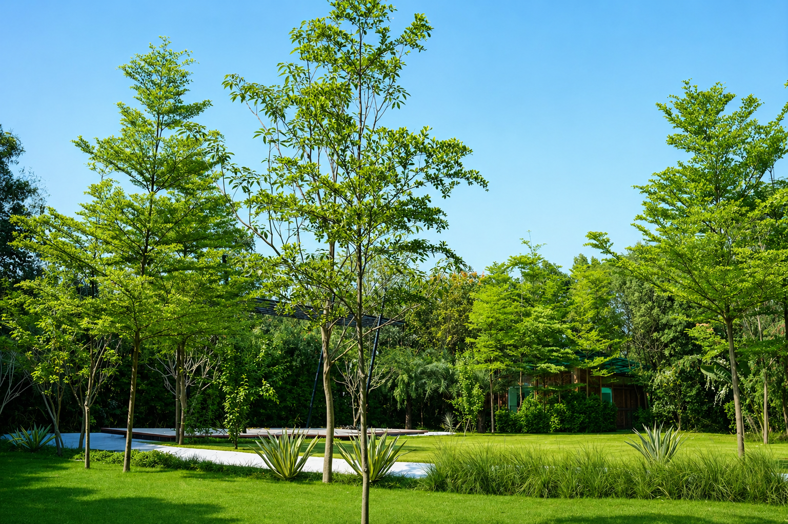 Lawns & Outdoors